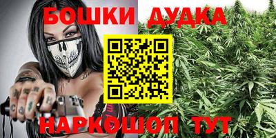 apvp Вязьма