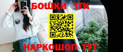 тгк Владимир