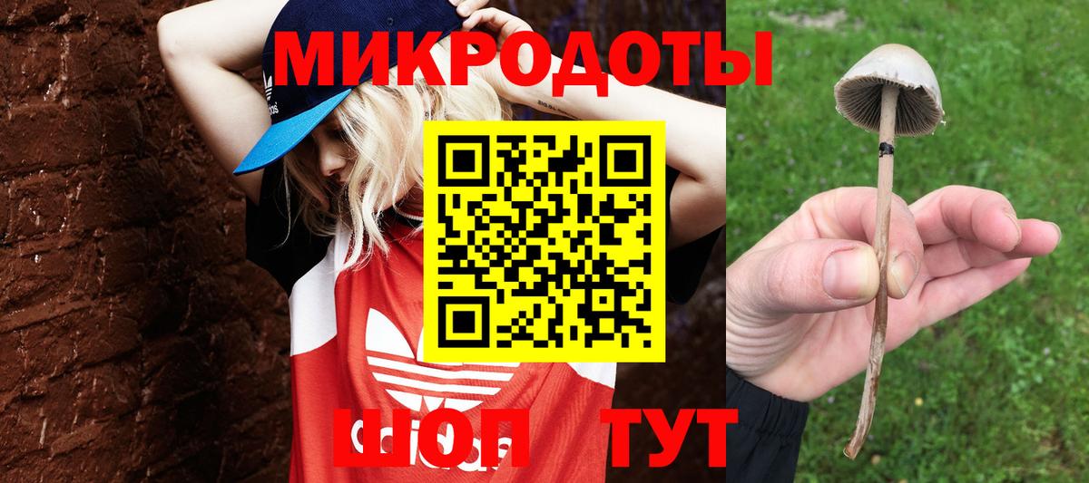 Новоалтайск  продажа наркотиков  Вход с VPN  Галлюциногенные грибы GOLDEN TEACHER  Галлюциногенные грибы мицелий 
